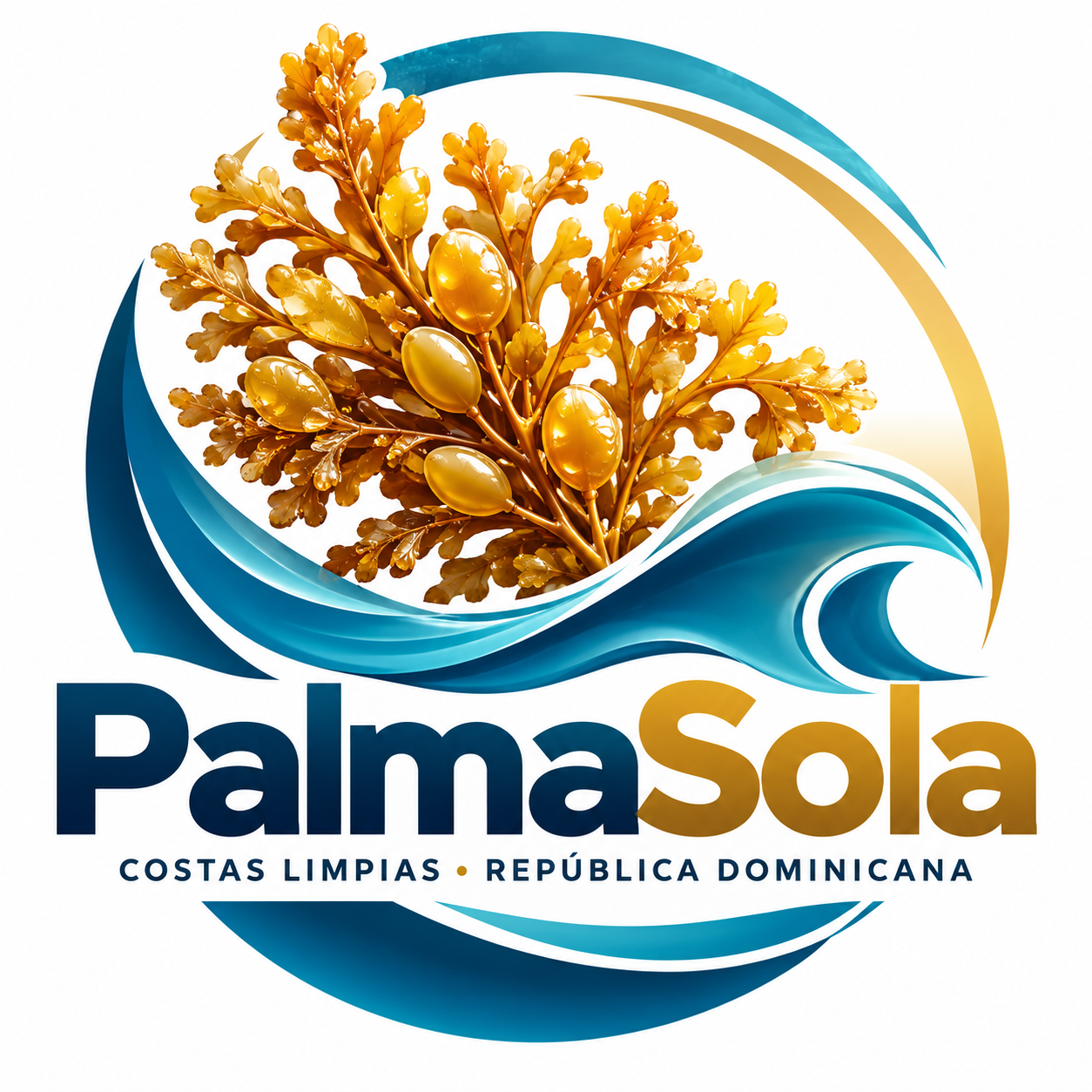 PalmaSola EIRL