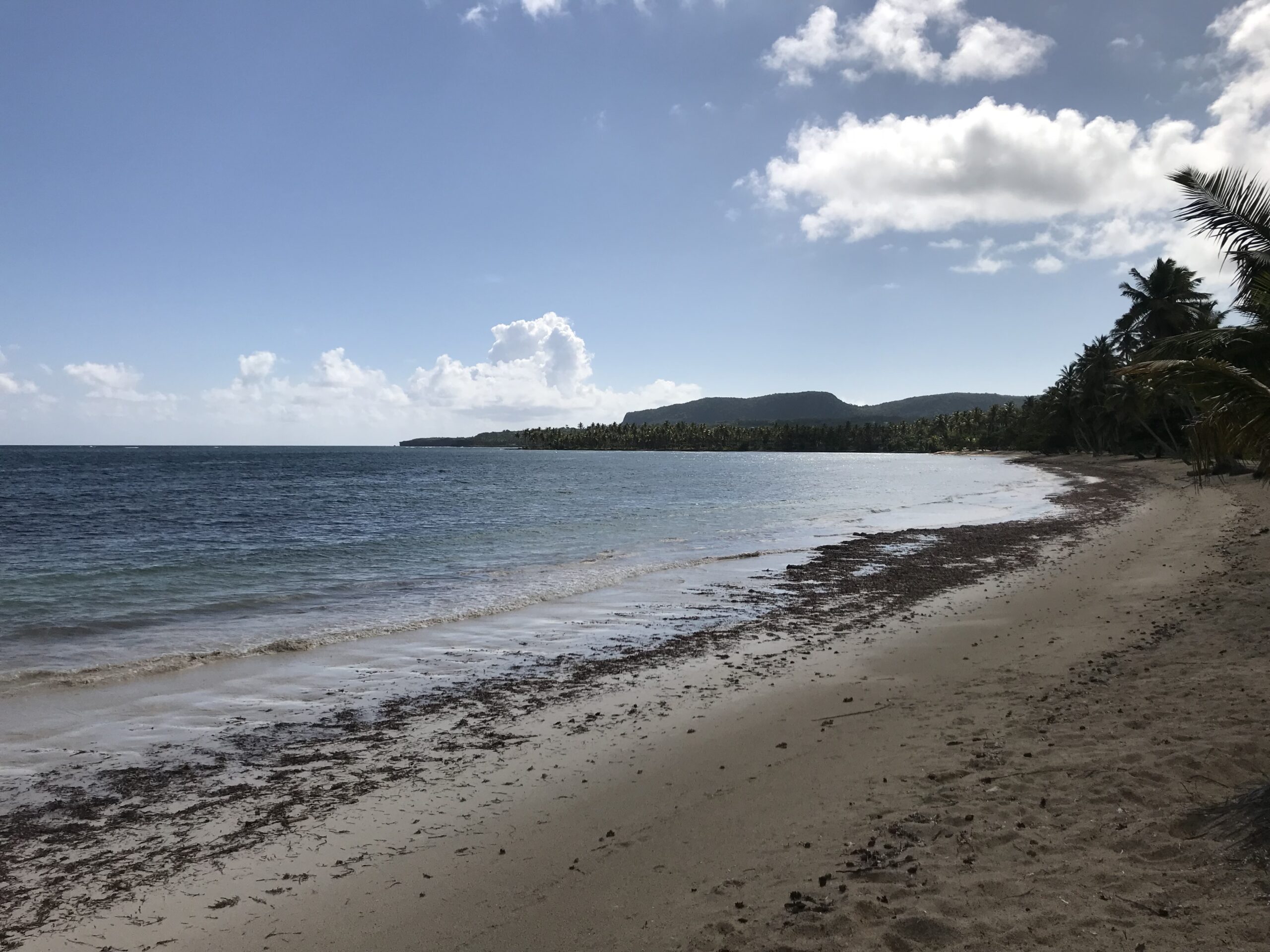 Paisaje costero de República Dominicana, fotografía de PalmaSola